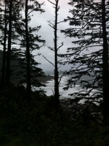 Oregon Trees
